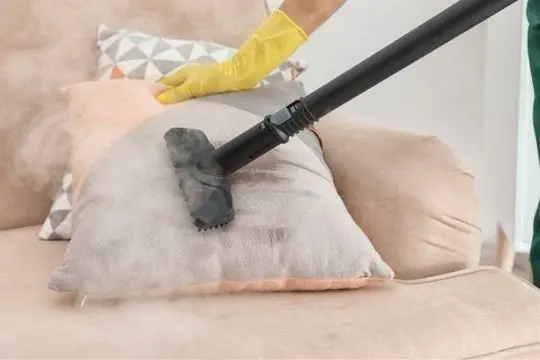 steam bed bug treatment lakefield